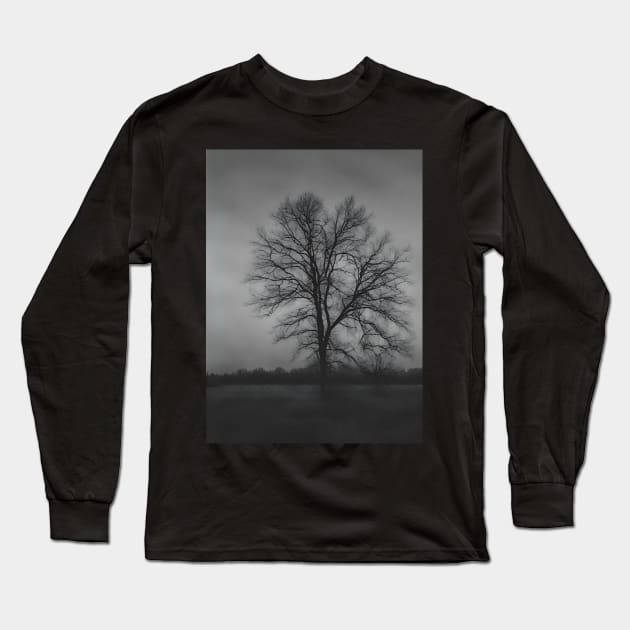 Winter Wonderland Long Sleeve T-Shirt by Alihassan-Art